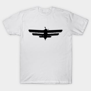 Biplane T-Shirt